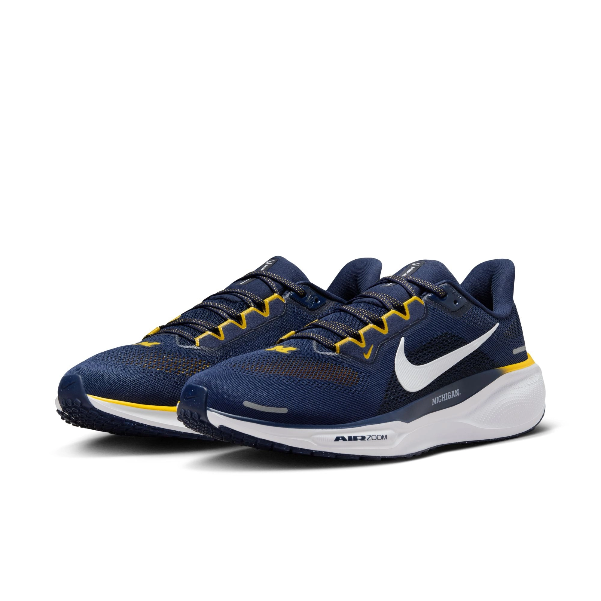 Air Zoom Pegasus 41 Michigan