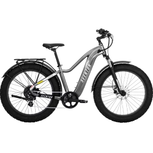 Aventure.2 E-Bike