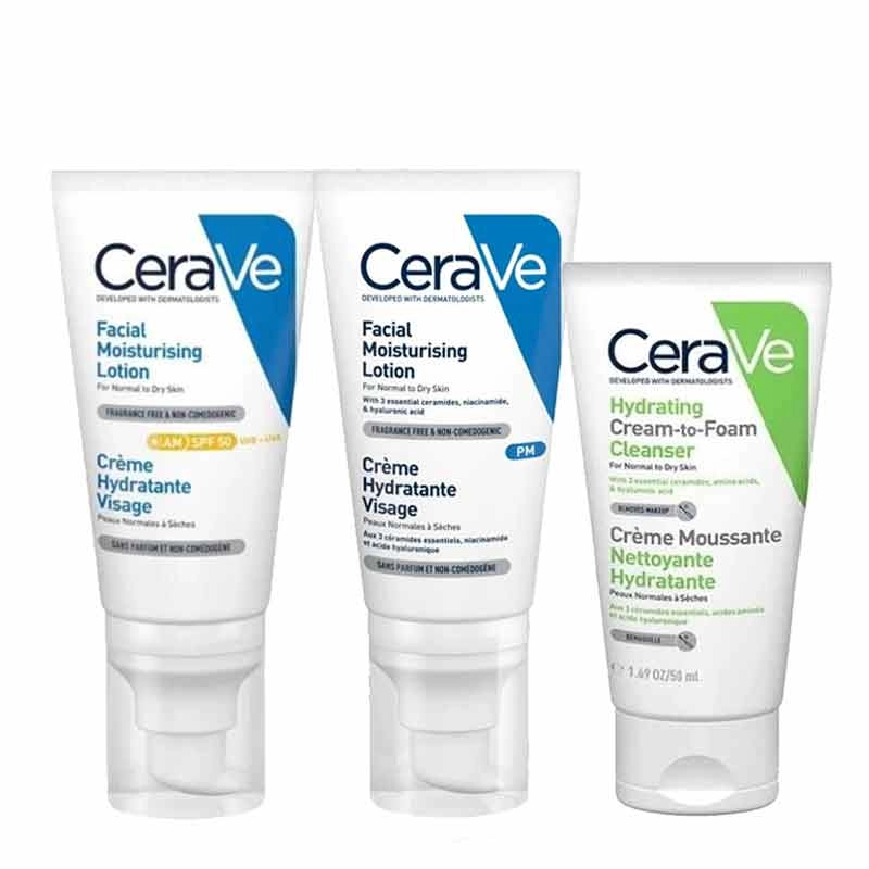 CeraVe Day & Night Skin Bundle