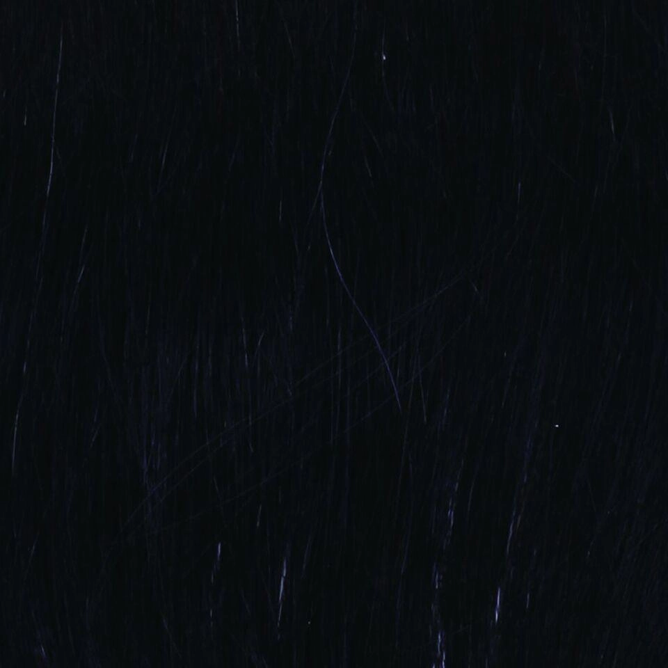 Chameleon Hair Addition by Raquel Welch | Synthetic