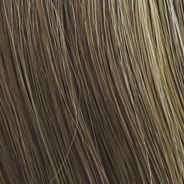 Chameleon Hair Addition by Raquel Welch | Synthetic