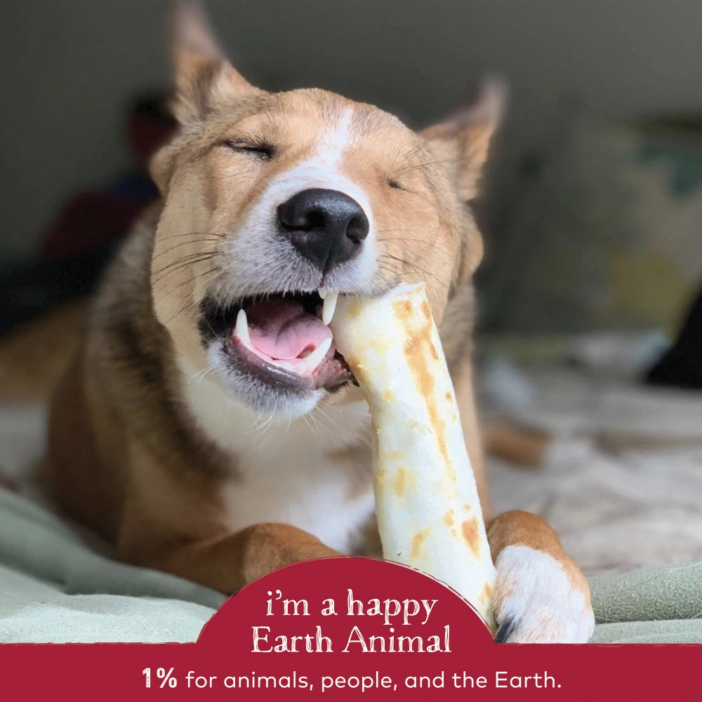 Earth Animal No-Hide Beef Dog Chews