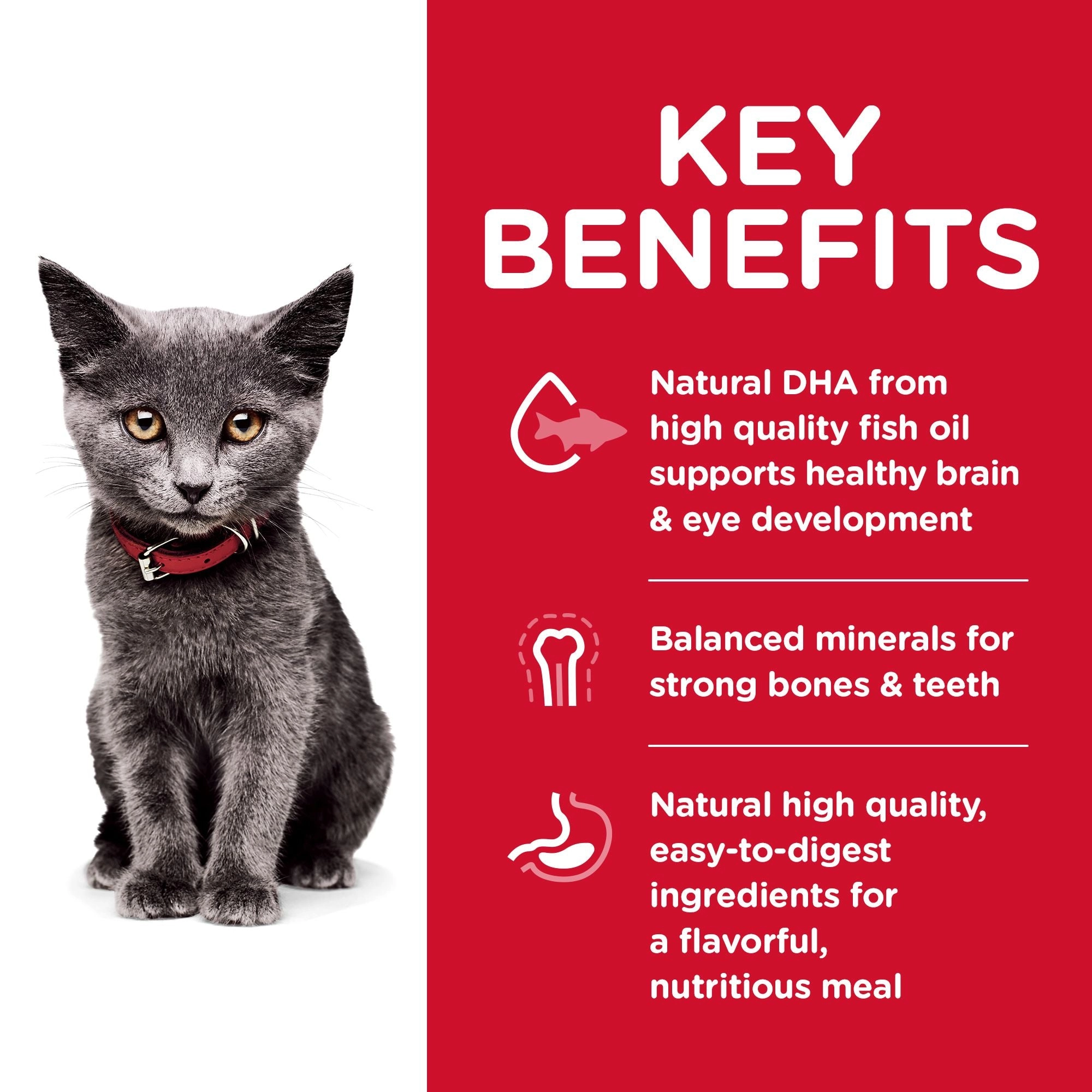 Hill's Science Diet Kitten Indoor Dry Cat Food, Chicken Recipe