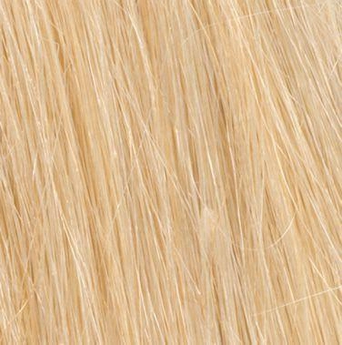 Human Hair Clip-In Bang by Hairdo | Monofilament Crown | Clearance Sale Open Box (Unworn - Like New)
