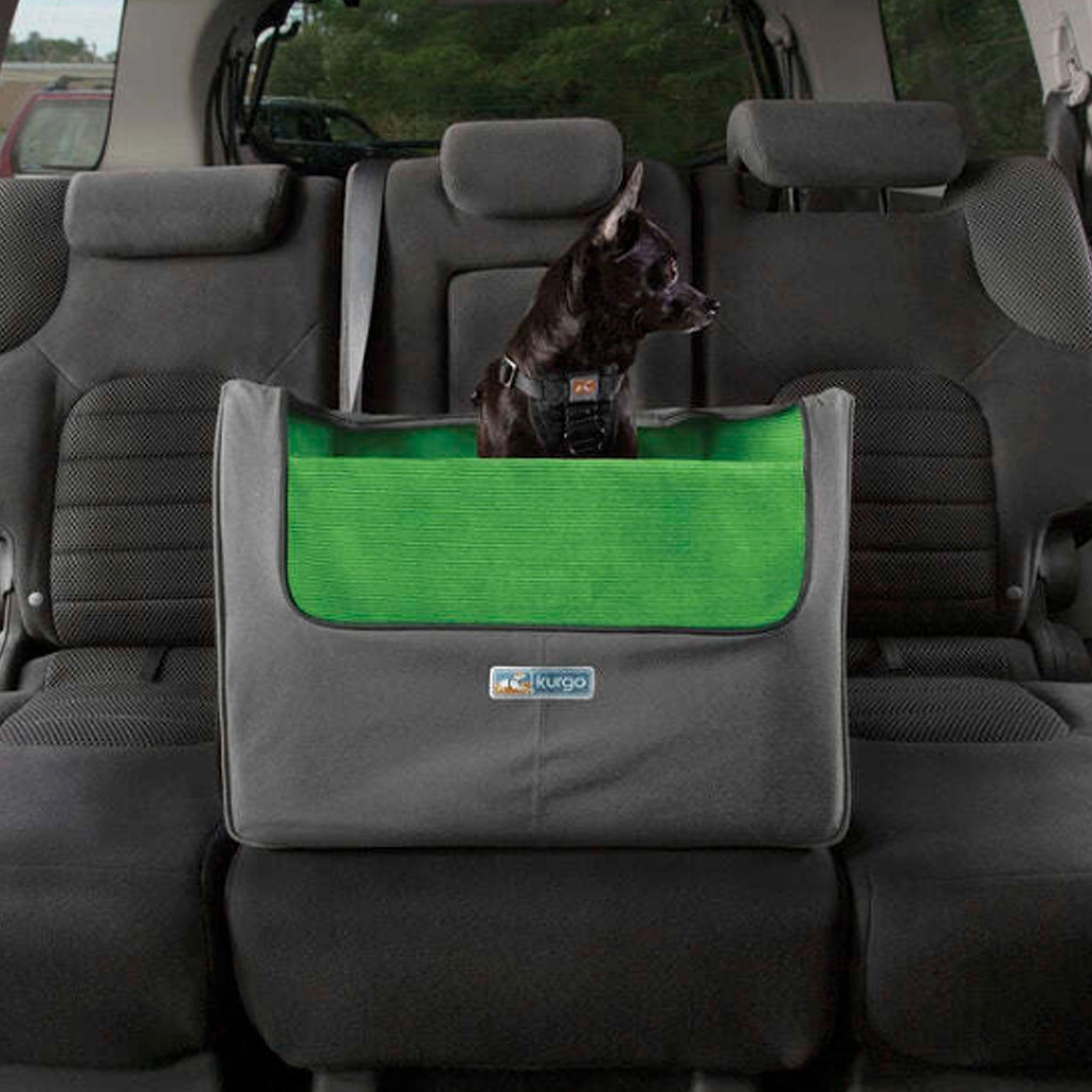 Kurgo Skybox Rear Booster Seat - Grey & Green