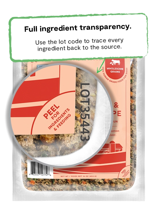 Open Farm Grass-Fed Beef and Brown Rice with Wholesome Grains Gently Cooked Recipe