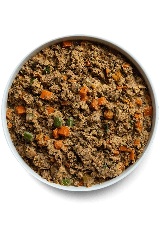 Open Farm Grass-Fed Beef and Brown Rice with Wholesome Grains Gently Cooked Recipe