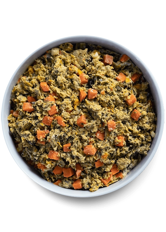 Open Farm Harvest Chicken and Brown Rice with Wholesome Grains Gently Cooked Recipe