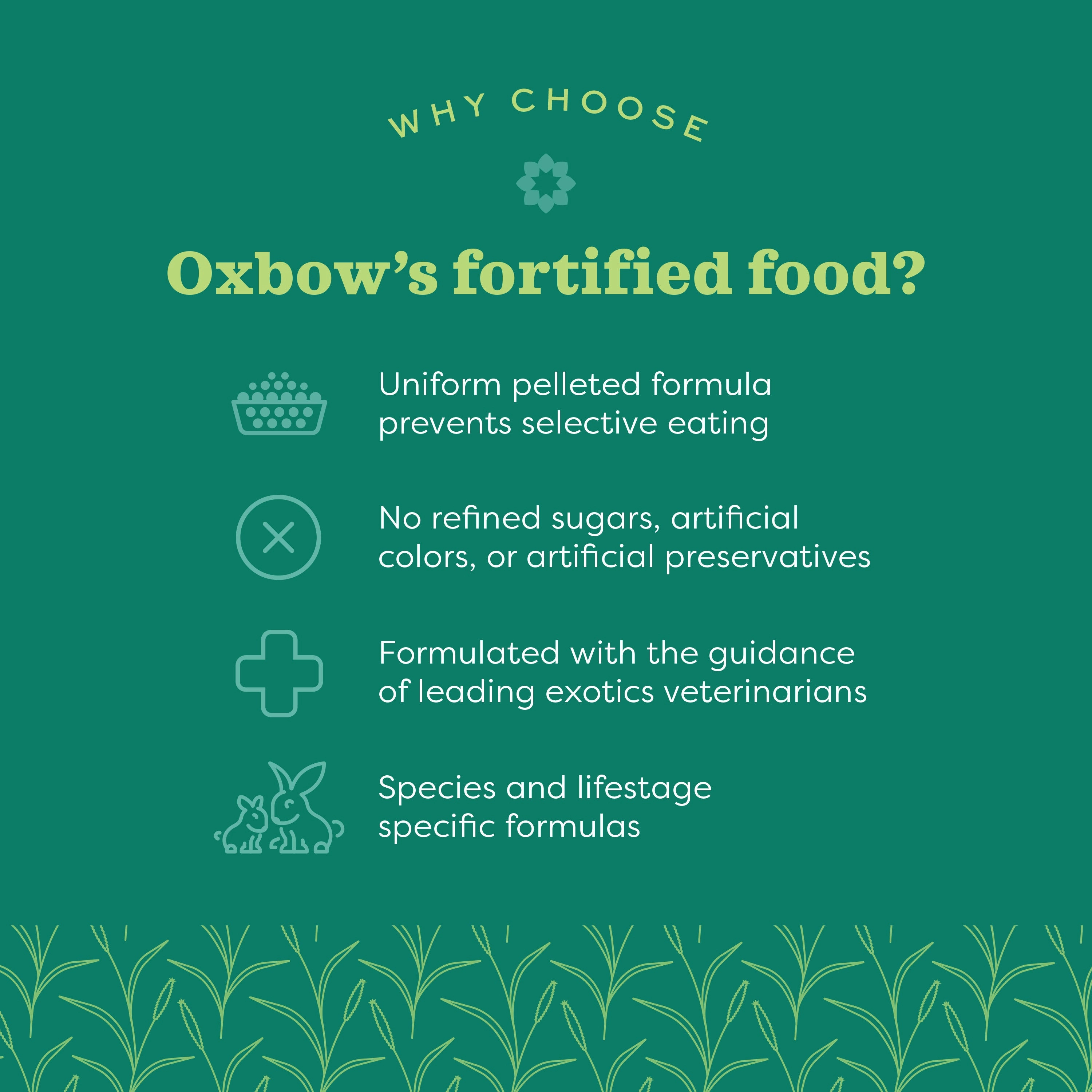 Oxbow Animal Health Essentials Young Rabbit Food 5lb