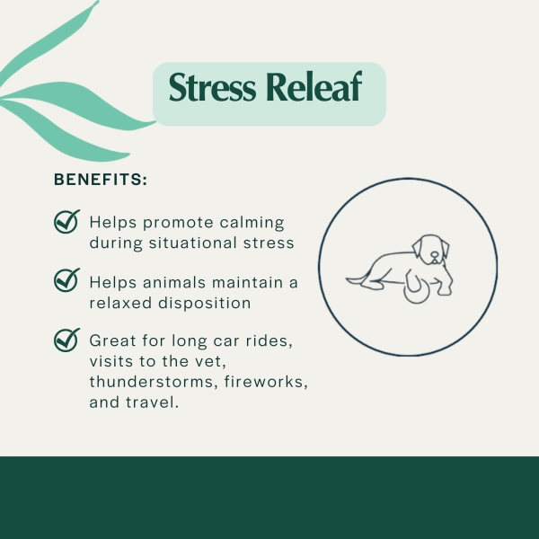Pet Releaf Stress Releaf Edibites Peppered Bacon Flavor for Small Dogs
