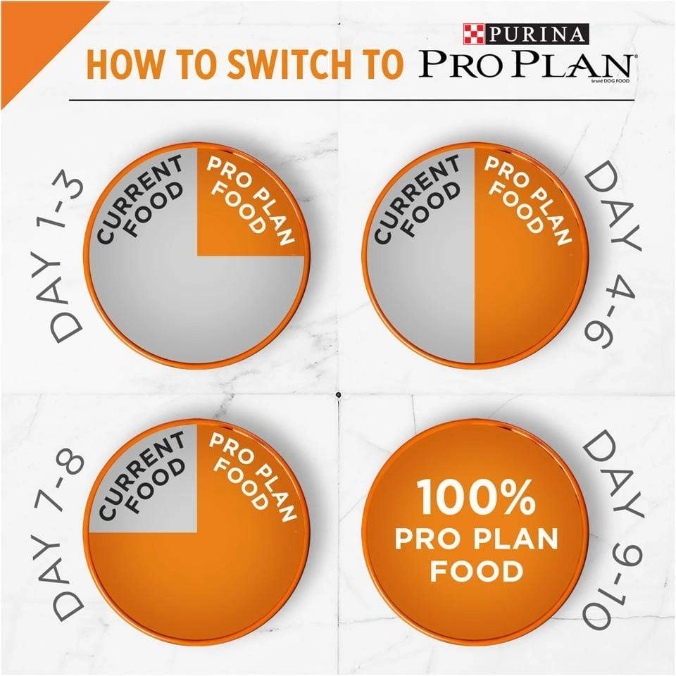 Purina Pro Plan Savor Adult Salmon & Rice Formula Dry Cat Food