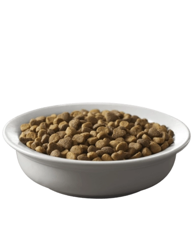 Purina Pro Plan Savor Adult Salmon & Rice Formula Dry Cat Food
