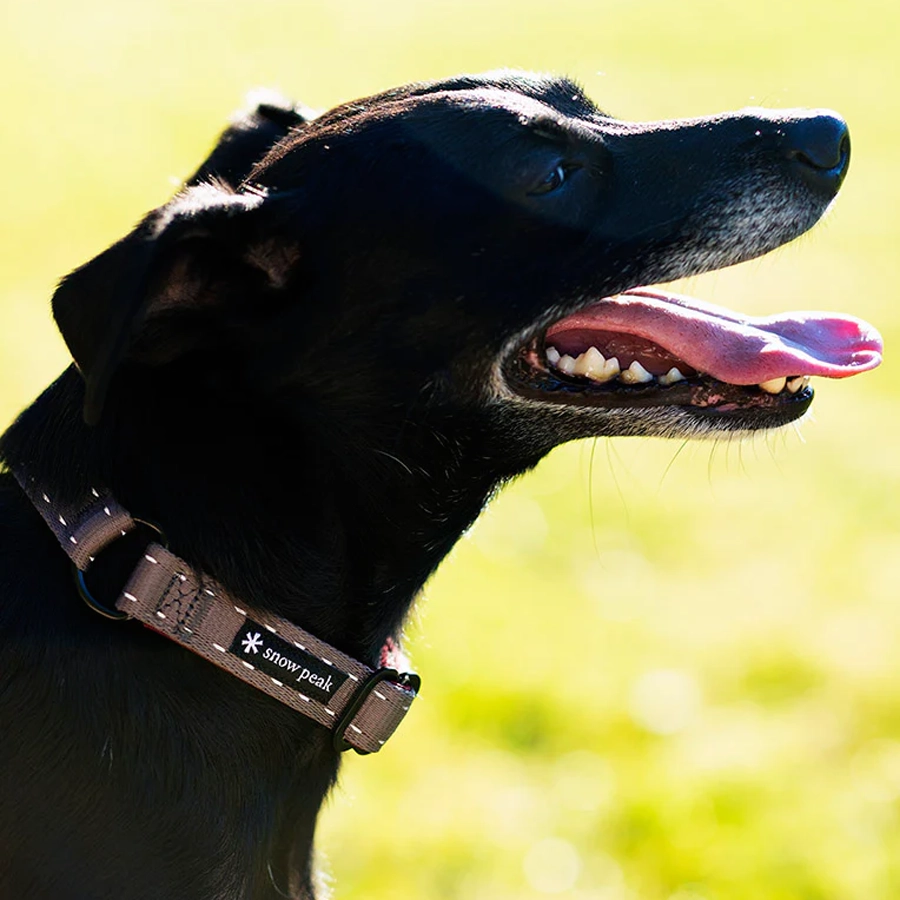 SP Slip Collar S