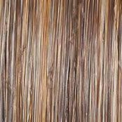 Top Billing 5 inches Hair Topper by Raquel Welch | Heat Friendly Synthetic